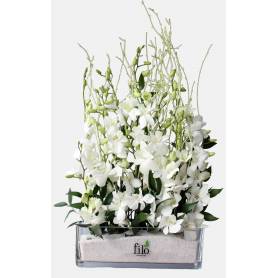 Composition With White Orchids  - 1