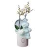 Newborn Gift "Orchid In Hat Box With Little Bear" - 1