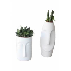 Ceramic Figures with Succulents - 1