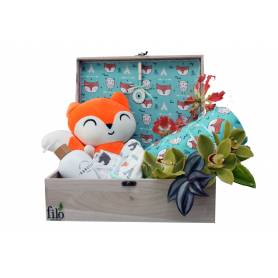 Newborn Gift Box for - Fox - 1