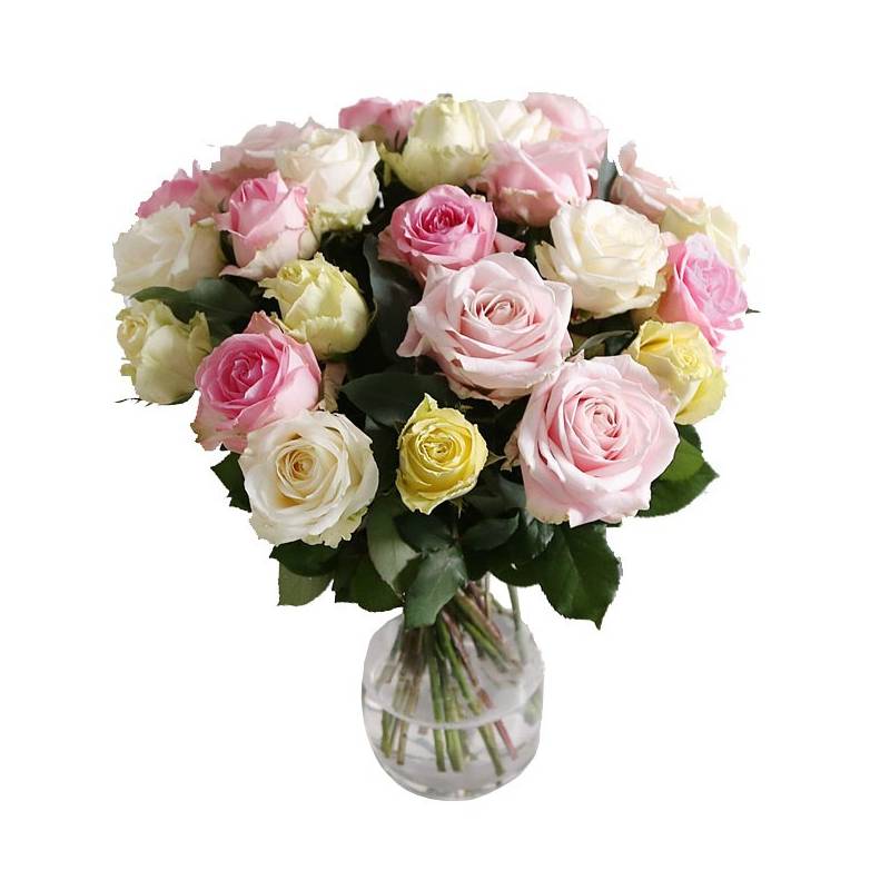 24 Luxury Pastel Roses  - 1