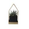 Zebra Plant in Metalic Frame - 1