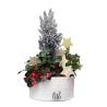 Christmas Plant Arrangement - 1
