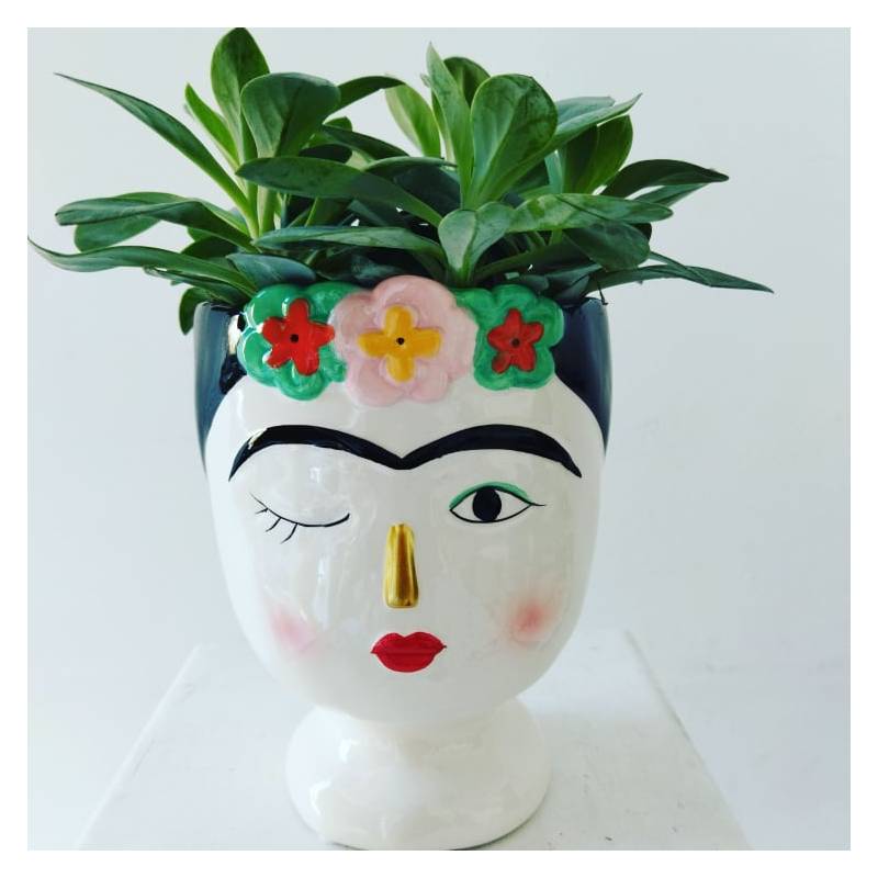Frida Kalo Pot with Succulent  - 1