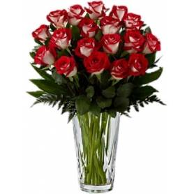 Bouquet With 24 Bicolor Velvet Roses  - 1