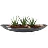 minimalism planter sansiverias - 1