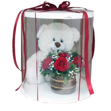 Μεγάλο Διάφανο Κουτί Με Αρκουδάκι κ Σύνθεση - 1