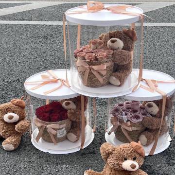 Μεγάλο Διάφανο Κουτί Με Αρκουδάκι κ Σύνθεση - 1