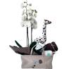 Bag "Newborn Gift" | Online Flowershop | Filo.gr