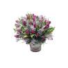 Tulips Bouquet - 1